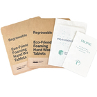 Mango Tozu Fındıklar için Özel Biyoizgarılabilir Beyaz Kraft Kağıt Torbaları Evcil hayvanlar için Yiyecek Kokusuz Kağıt Paket Çantası