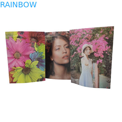 Özel Pla Gıda Paketleme Çantası Plastik Fermuar Kilitli Alüminyum Folyo Çantaları